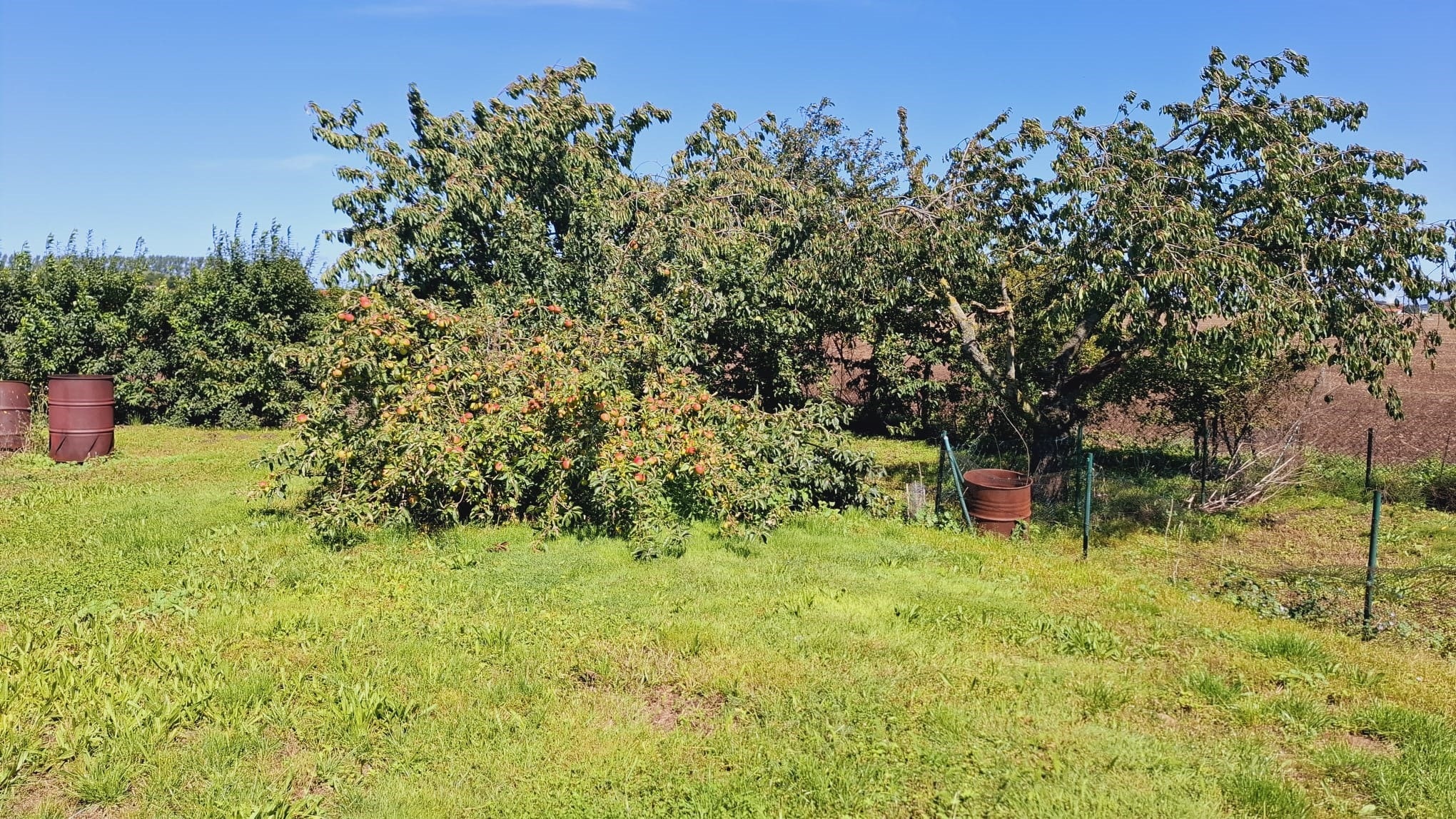 Außenansicht Garten