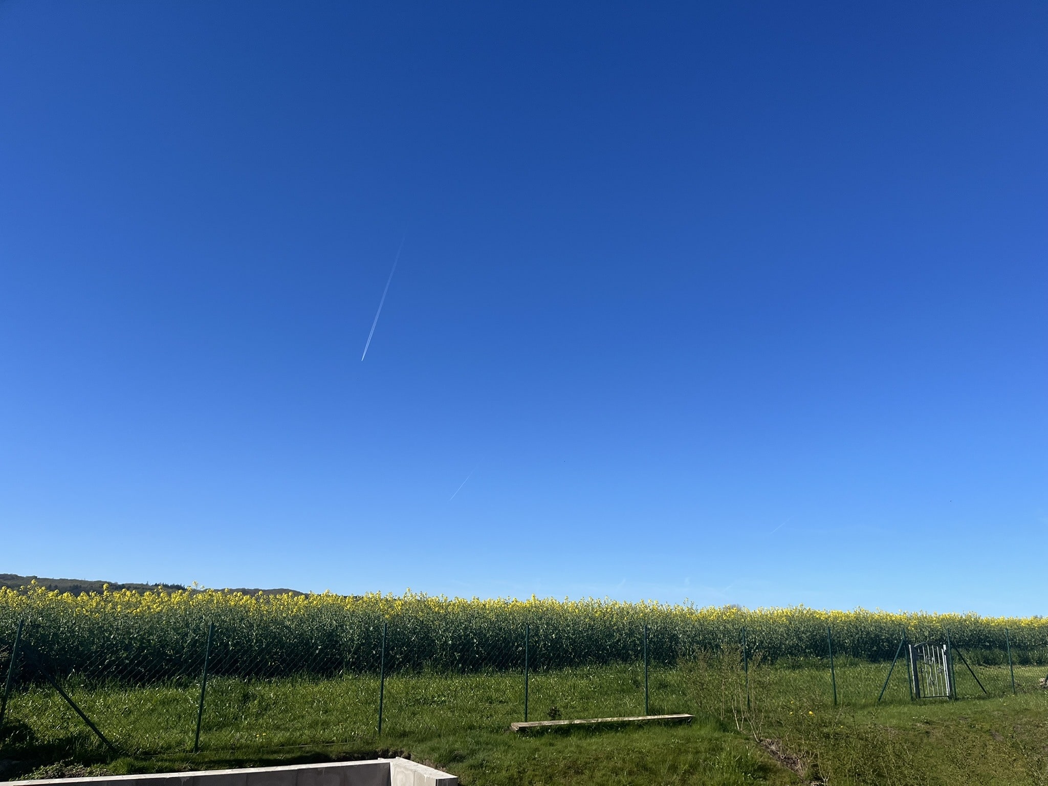 Ausblick Gartenbereich