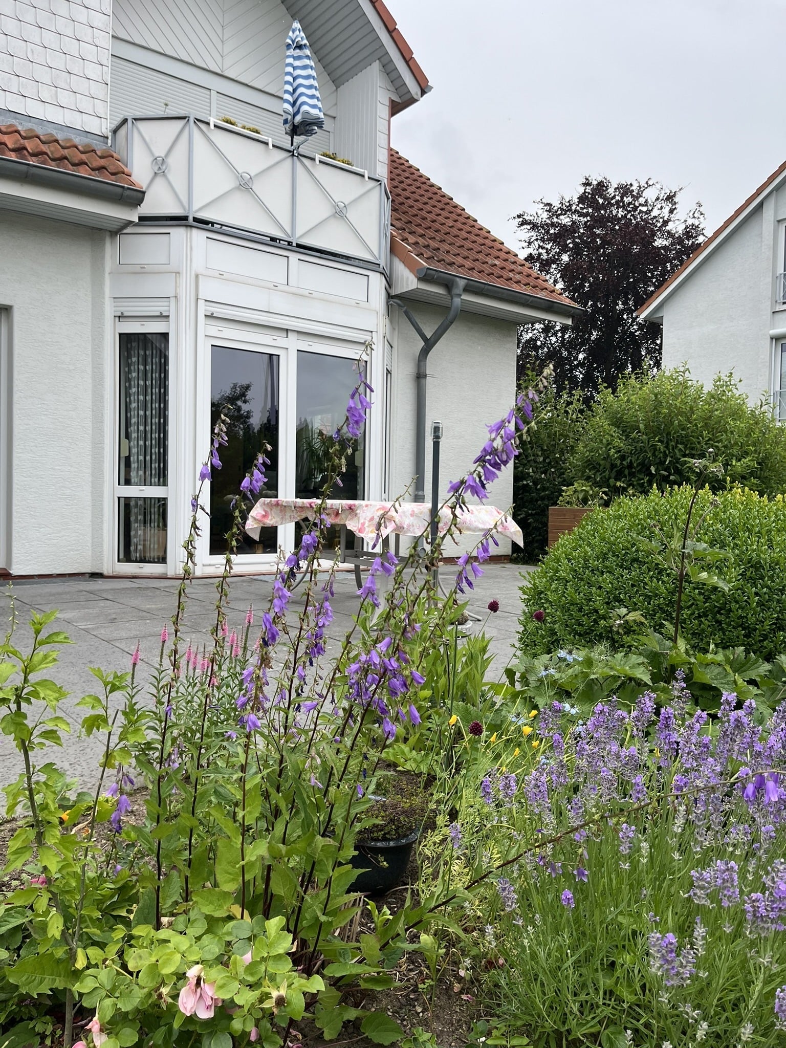 Blick auf Terrasse