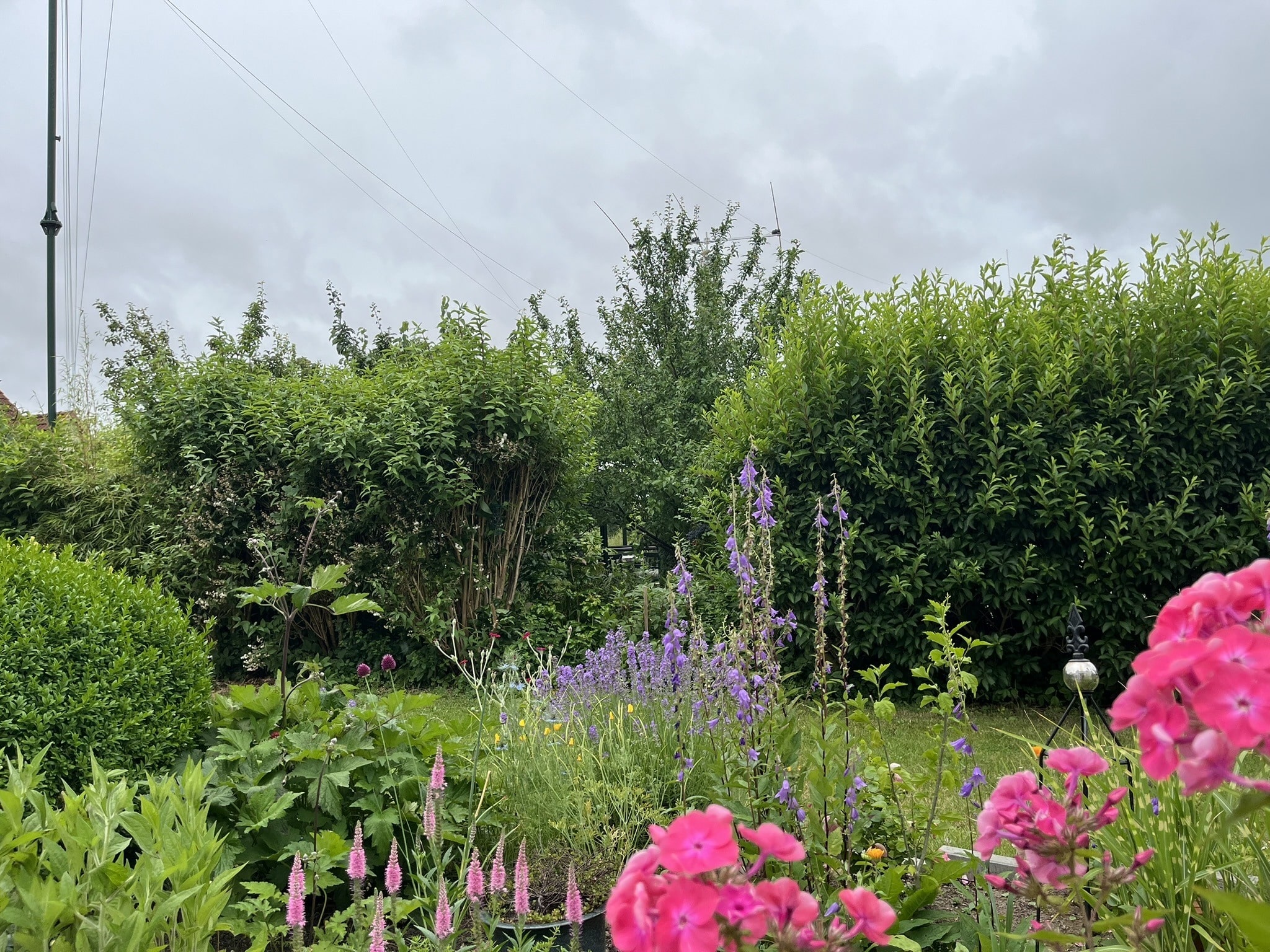 Gartenbereich